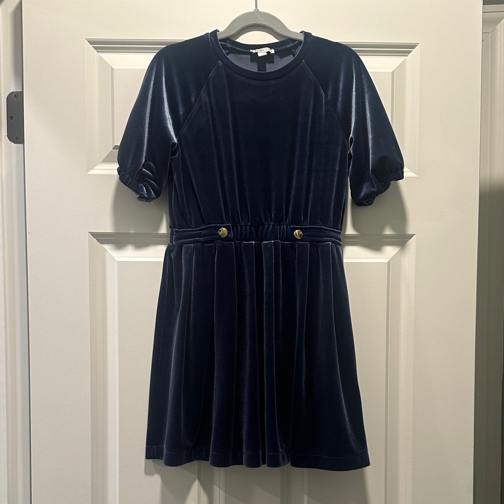 Jcrew blue velvet dress